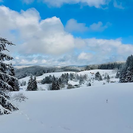 Schwarzwald Nescht Triberg Apartman Triberg im Schwarzwald Kültér fotó