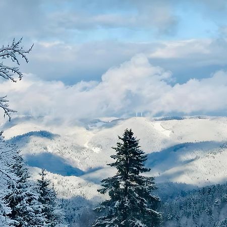 Schwarzwald Nescht Triberg Apartman Triberg im Schwarzwald Kültér fotó