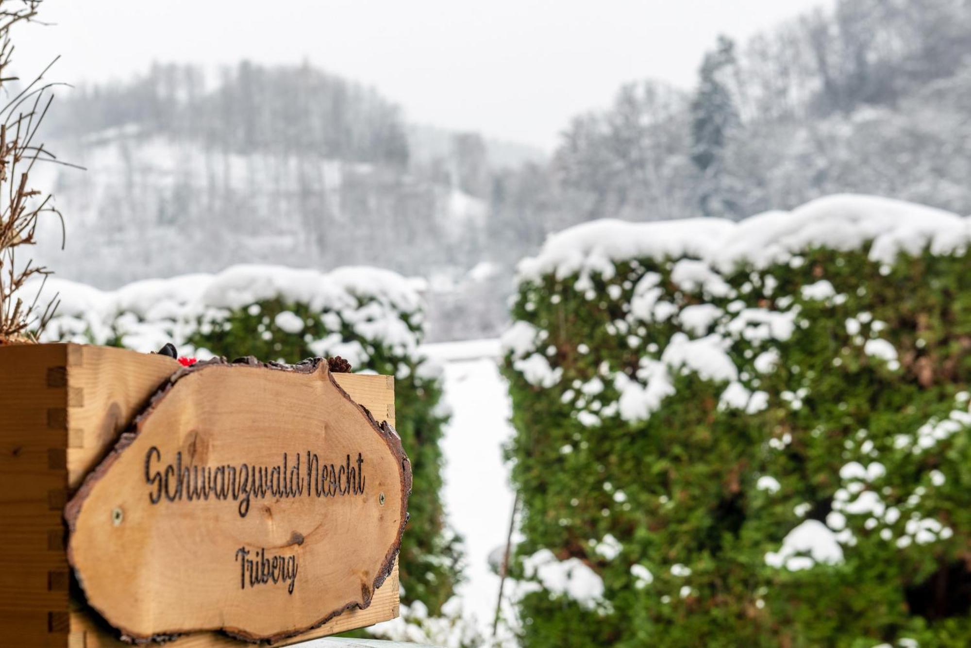 Schwarzwald Nescht Triberg Apartman Triberg im Schwarzwald Kültér fotó