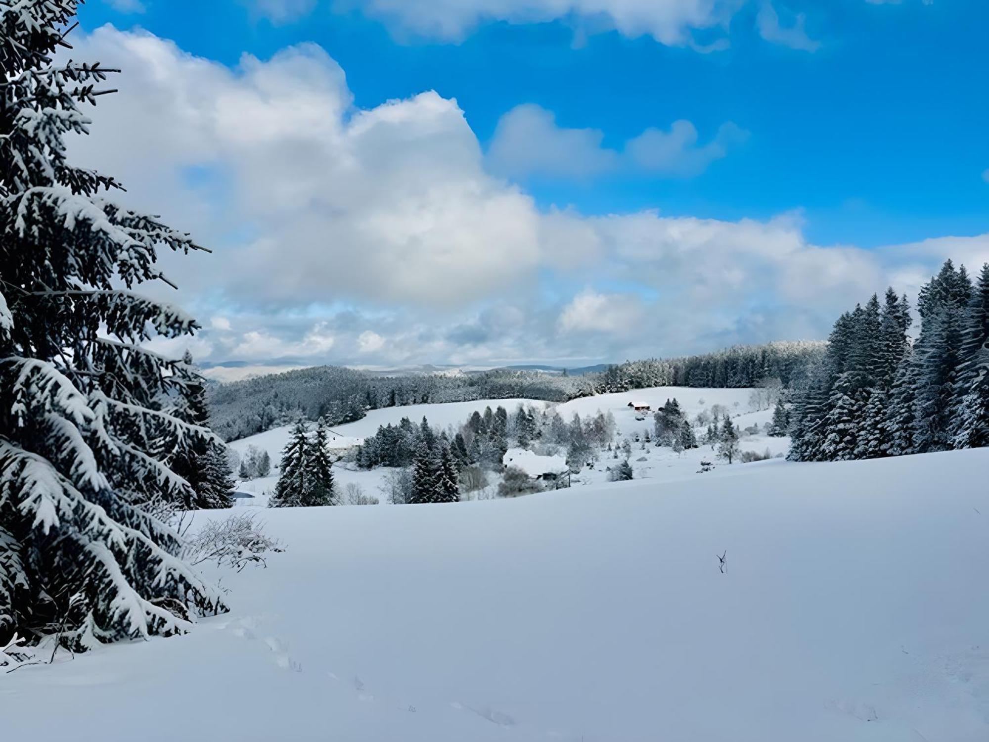 Schwarzwald Nescht Triberg Apartman Triberg im Schwarzwald Kültér fotó