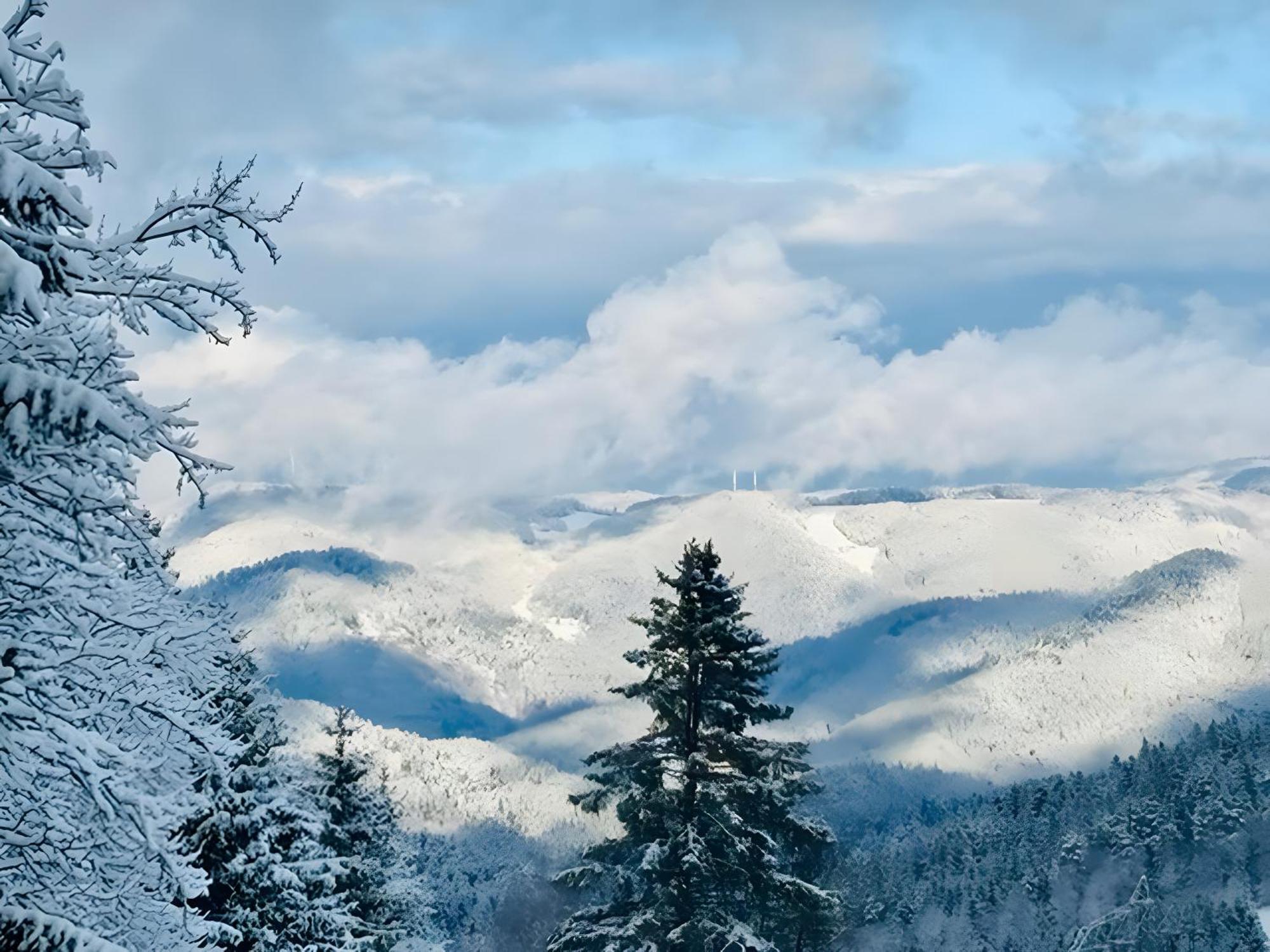 Schwarzwald Nescht Triberg Apartman Triberg im Schwarzwald Kültér fotó